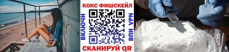 Купить закладки  Белоозёрский  Кокаин Эквадор 