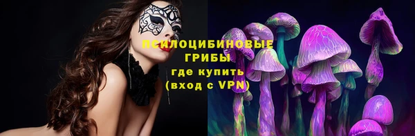 Альфа ПВП Коряжма