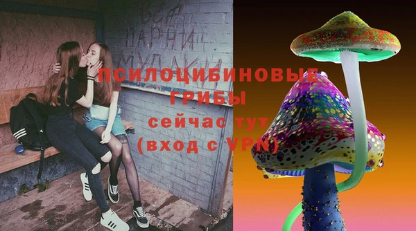 Альфа ПВП Коряжма