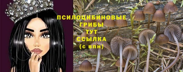 Альфа ПВП Коряжма