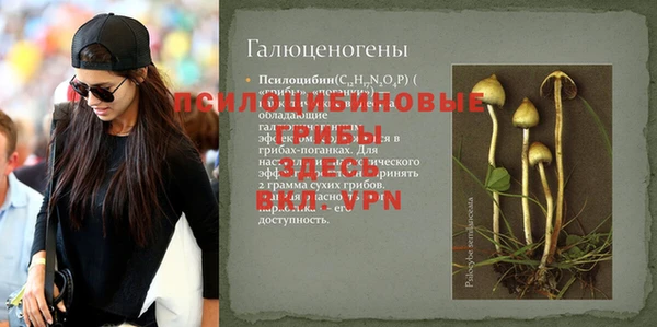 Альфа ПВП Коряжма